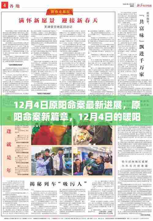 原阳命案最新进展，暖阳下的奇迹之旅揭秘新篇章