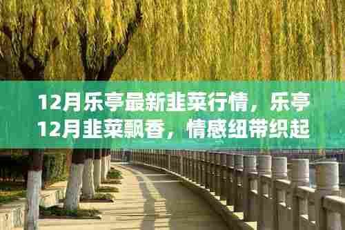 乐亭十二月韭菜行情概览，冬日温情与韭菜飘香的情感纽带
