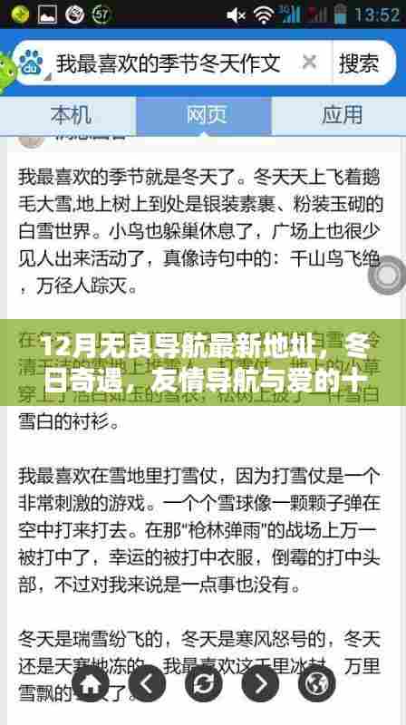 十二月无良导航最新地址，冬日奇遇与爱的约定