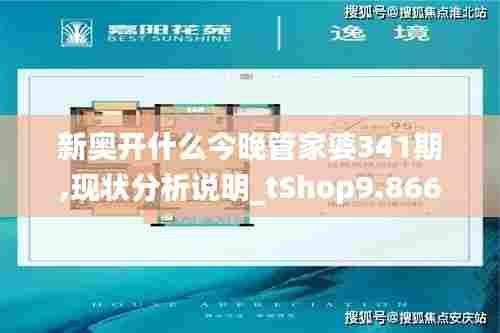 新奥开什么今晚管家婆341期,现状分析说明_tShop9.866
