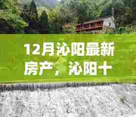 沁阳十二月,房产美景探寻,宁静港湾与自然的和谐之旅