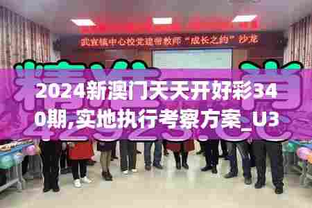 2024新澳门天天开好彩340期,实地执行考察方案_U3.193