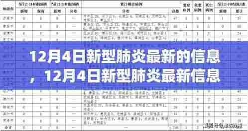 12月4日新型肺炎最新动态,变化中的学习,信心与成就感的源泉