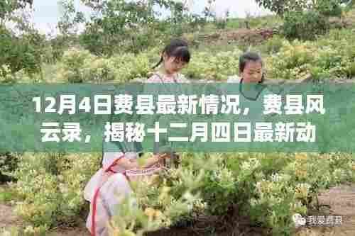 揭秘费县风云录，最新动态尽在掌握