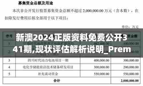 新澳2024正版资料免费公开341期,现状评估解析说明_Premium6.562