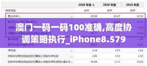 澳门一码一码100准确,高度协调策略执行_iPhone8.579