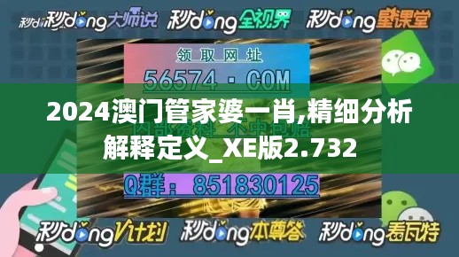 2024澳门管家婆一肖,精细分析解释定义_XE版2.732