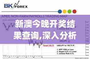 新澳今晚开奖结果查询,深入分析定义策略_旗舰款9.401