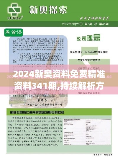 2024新奥资料免费精准资料341期,持续解析方案_9DM10.452