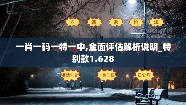 一肖一码一特一中,全面评估解析说明_特别款1.628