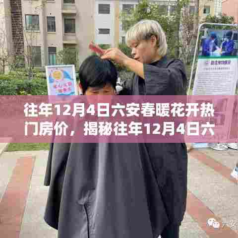 揭秘往年12月4日六安春暖花开的热门房价走势及趋势分析