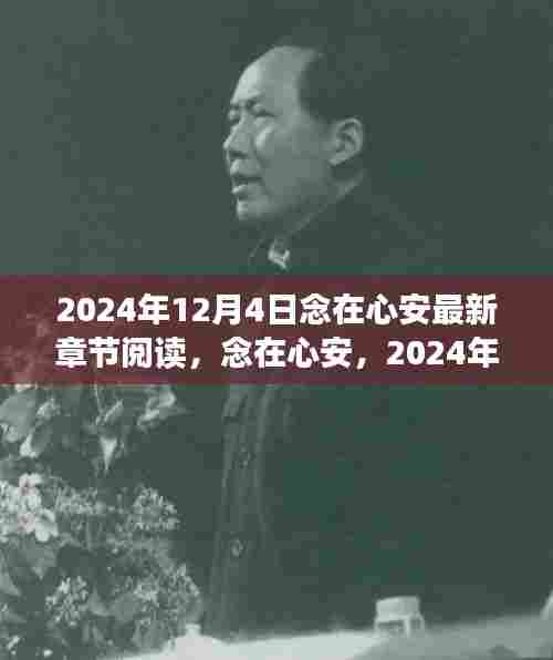念在心安,深度解析与最新章节阅读,2024年12月4日