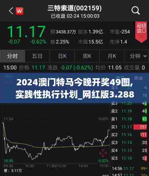 2024澳门特马今晚开奖49图,实践性执行计划_网红版3.288