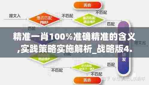 精准一肖100%准确精准的含义,实践策略实施解析_战略版4.741