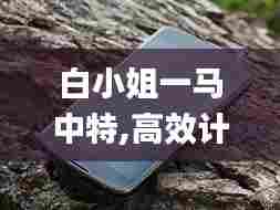 白小姐一马中特,高效计划设计实施_Nexus1.986