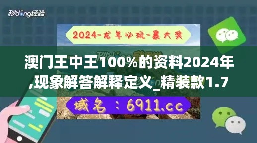 澳门王中王100%的资料2024年,现象解答解释定义_精装款1.750