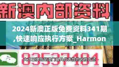 2024新澳正版免费资料341期,快速响应执行方案_HarmonyOS5.159