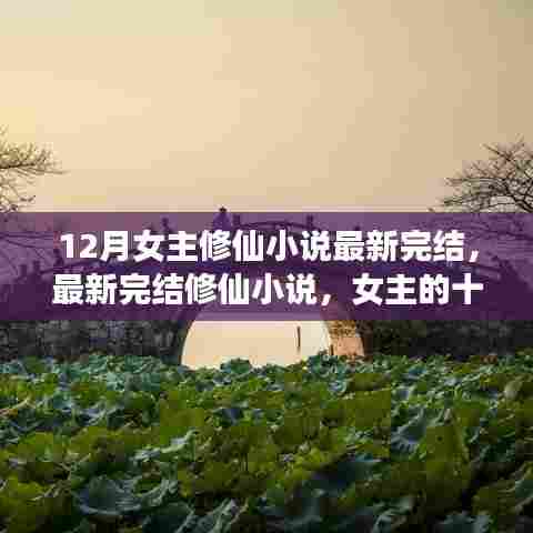 女主修仙探索之旅，十二月自然之旅，探寻美景与内心平静之道