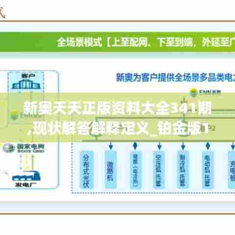 新奥天天正版资料大全341期,现状解答解释定义_铂金版1.539