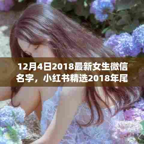 12月4日2018最新女生微信名字,小红书精选2018年尾时尚女生微信名字大公开——12月4日最新潮流命名指南