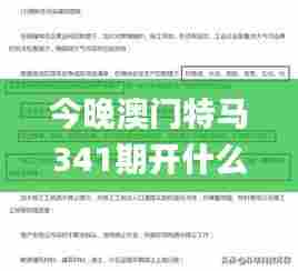 今晚澳门特马341期开什么,系统研究解释定义_复古版6.248