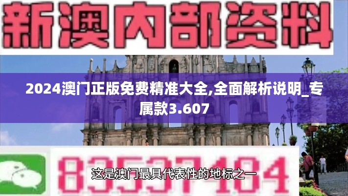 2024澳门正版免费精准大全,全面解析说明_专属款3.607