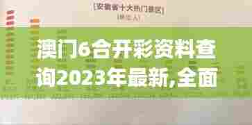 澳门6合开彩资料查询2023年最新,全面数据应用执行_经典版1.324
