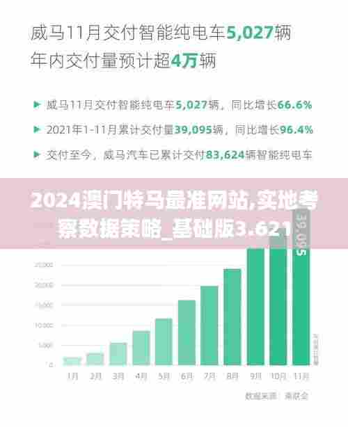 2024澳门特马最准网站,实地考察数据策略_基础版3.621