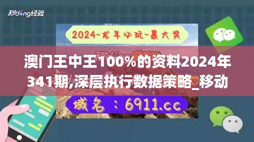 澳门王中王100%的资料2024年341期,深层执行数据策略_移动版7.111