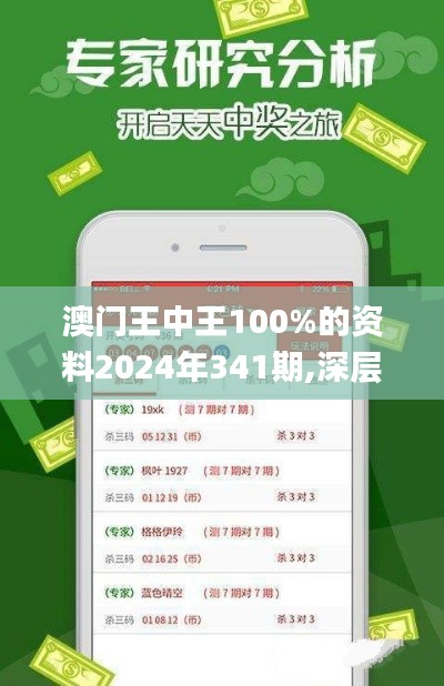 澳门王中王100%的资料2024年341期,深层执行数据策略_移动版7.111