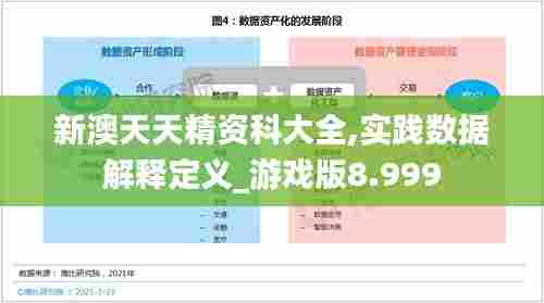 新澳天天精资科大全,实践数据解释定义_游戏版8.999