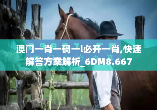 澳门一肖一码一l必开一肖,快速解答方案解析_6DM8.667