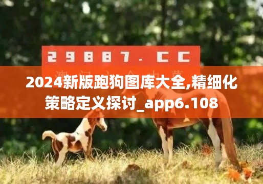 2024新版跑狗图库大全,精细化策略定义探讨_app6.108