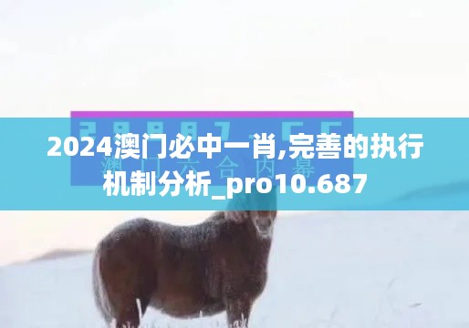 2024澳门必中一肖,完善的执行机制分析_pro10.687