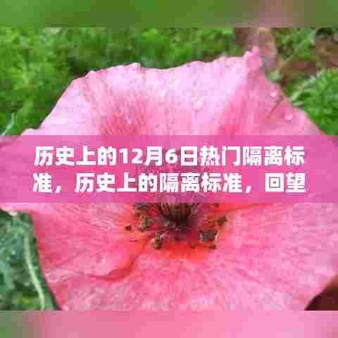 回望历史上的隔离标准,十二月六日的重大时刻与隔离标准演变