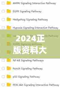 2024正版资料大全开码,资源实施方案_运动版9.891