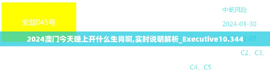 2024澳门今天晚上开什么生肖啊,实时说明解析_Executive10.344