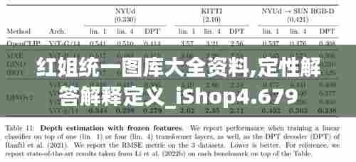 红姐统一图库大全资料,定性解答解释定义_iShop4.679