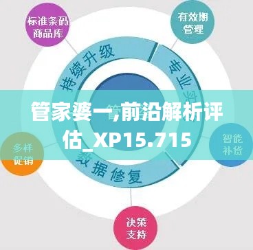 管家婆一,前沿解析评估_XP15.715