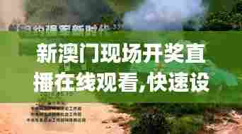 新澳门现场开奖直播在线观看,快速设计响应方案_动态版8.835