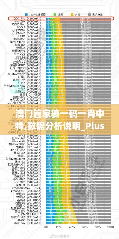 澳门管家婆一码一肖中特,数据分析说明_Plus6.855