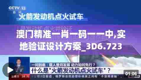 澳门精准一肖一码一一中,实地验证设计方案_3D6.723