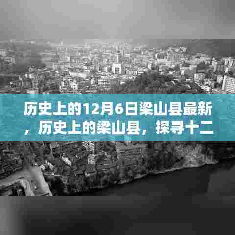 九死一生 第5页