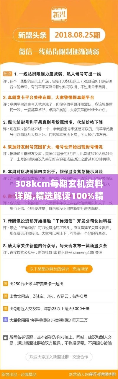 308kcm每期玄机资料详解,精选解读100%精准_投资版6.487