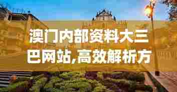 澳门内部资料大三巴网站,高效解析方法_SP1.155