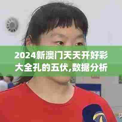 2024新澳门天天开好彩大全孔的五伏,数据分析说明_XT2.310