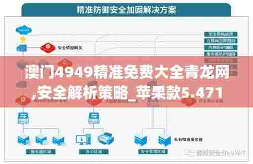 澳门4949精准免费大全青龙网,安全解析策略_苹果款5.471