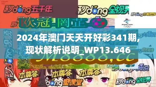 2024年澳门天天开好彩341期,现状解析说明_WP13.646