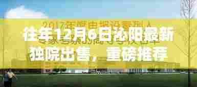 往年12月6日沁阳豪华独院新鲜出炉,独家宅邸抢购热潮开启!