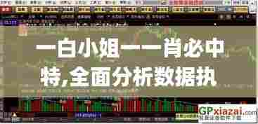 一白小姐一一肖必中特,全面分析数据执行_微型版5.367